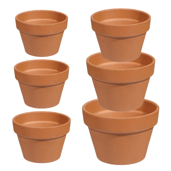 Terracotta Clay Pot - Azalea
