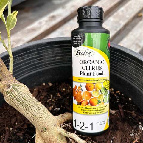 Evolve Organic Citrus Fertilizer - 250 ml liquid