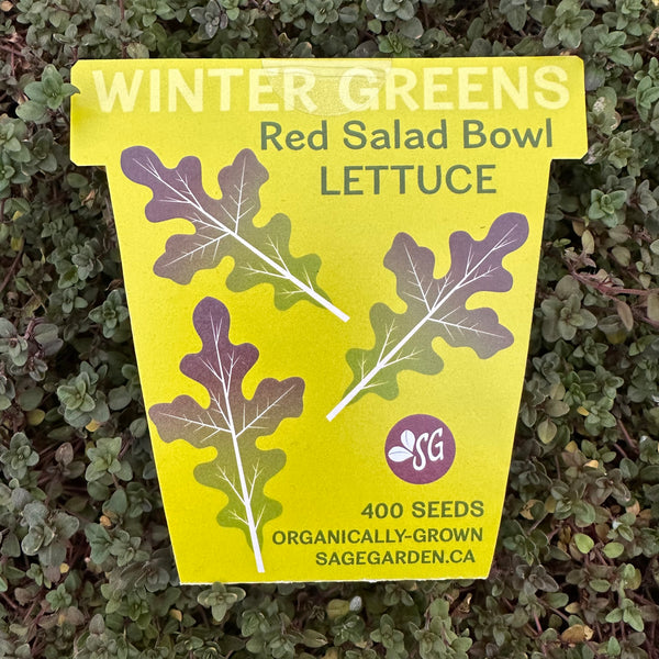 Winter Greens Seeds - Red Salad Bowl Lettuce