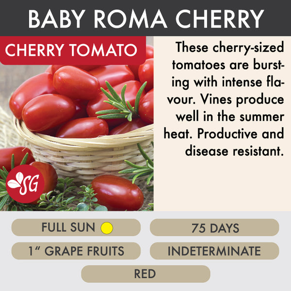 Baby Roma - Tomato Plant Pre-Order 2026