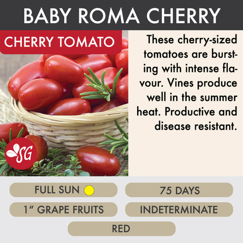 Baby Roma - Tomato Plant Pre-Order 2026