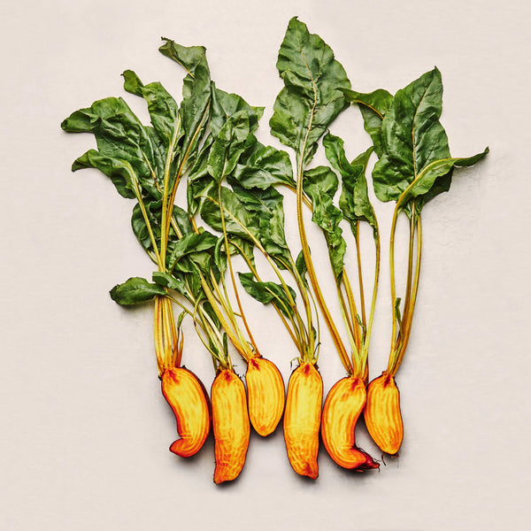 Beet, Badger Flame (Organically Grown Seeds)