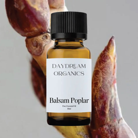 Daydream Organics Balsam Poplar Essential Oil 10 ml