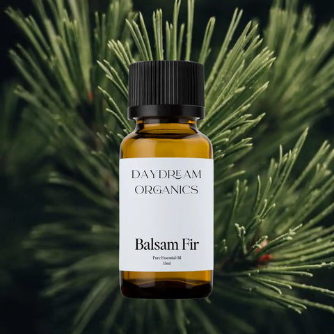 Daydream Organics Balsam Fir Essential Oil 15ml