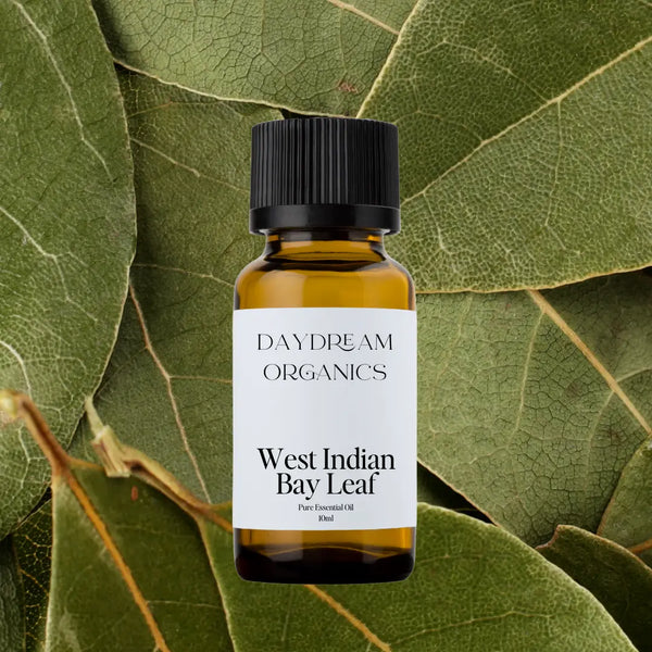 Daydream Organics West Indian Bay Leaf (Bay Rum) Essential Oil 10 ml
