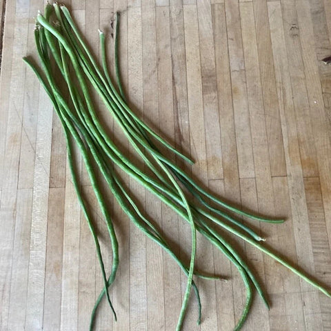 Bean (Pole), Llana Yardlong Green (Certified Organic Seeds)