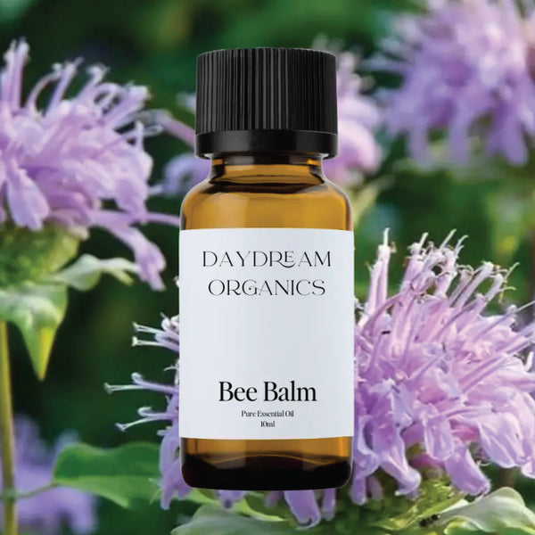 Daydream Organics Bee Balm Essential Oil 15 ml
