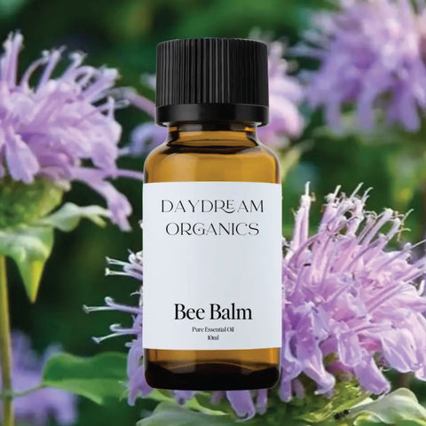 Daydream Organics Bee Balm Essential Oil 15 ml