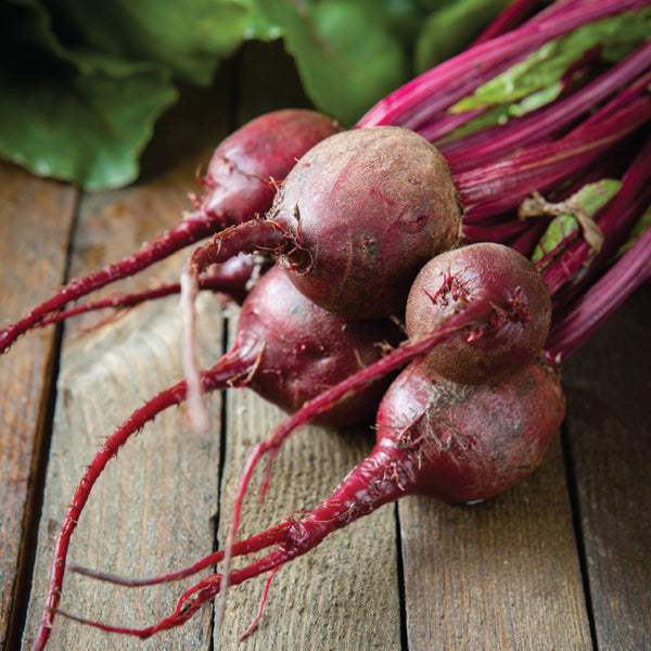 Beet, Detroit Dark Red (Organically Grown Seeds)