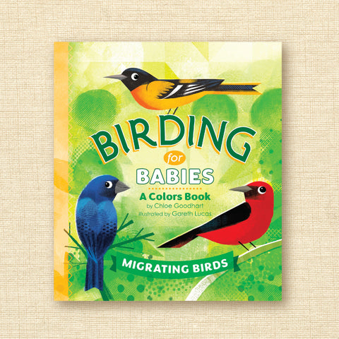 Migrating Birds: A Colors Book (Birding for Babies)