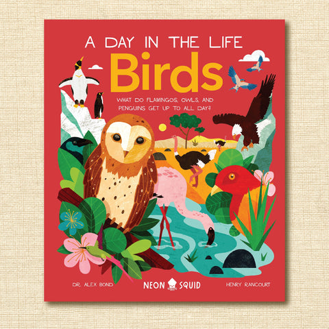 Birds: What Do Flamingos, Owls, and Penguins Get Up To All Day? (A Day in the Life)