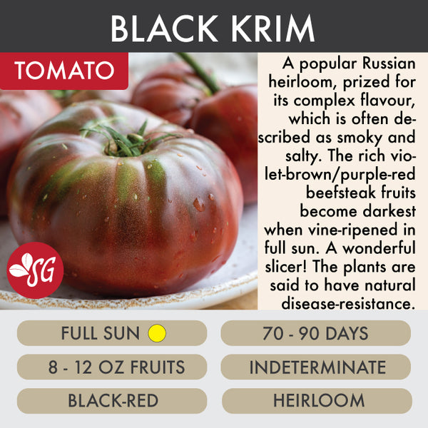 Black Krim - Tomato Plant Pre-Order 2026