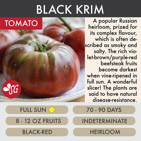 Black Krim - Tomato Plant Pre-Order 2026