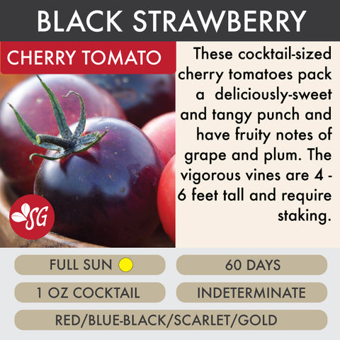 Black Strawberry - Tomato Plant Pre-Order 2026