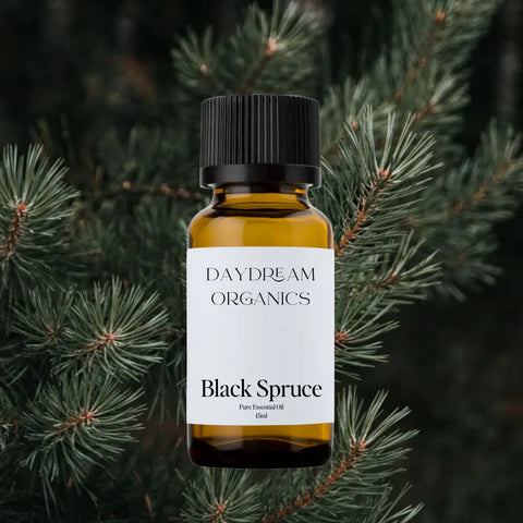 Daydream Organics Black Spruce Essential Oil 15 ml