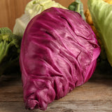 Cabbage, Kalibos (Red) (Organically Grown Seeds)