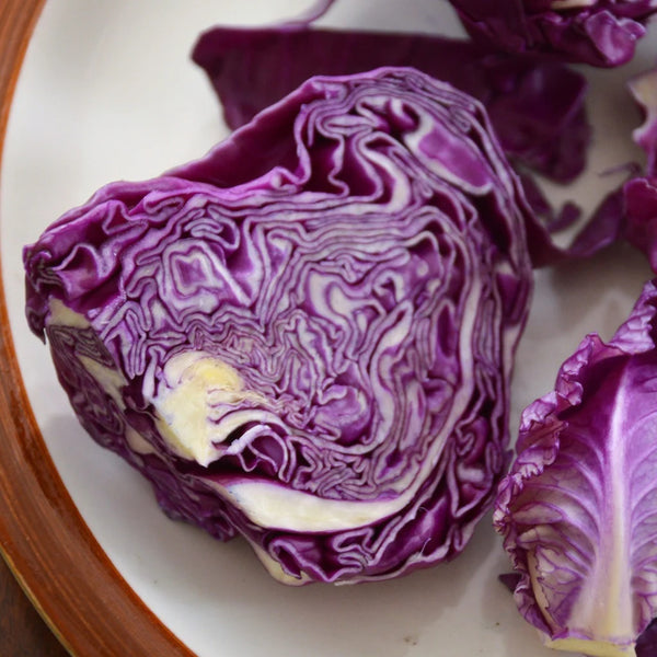 Cabbage, Kalibos (Red) (Organically Grown Seeds)