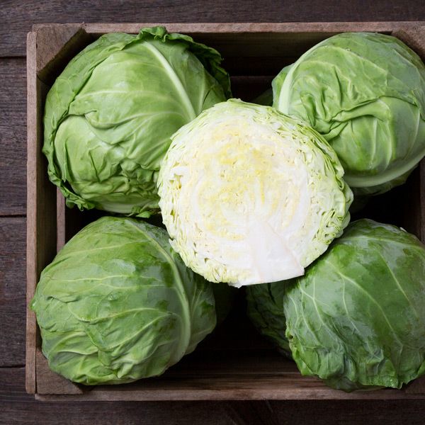 Cabbage, Tiara F1 (Certified Organic Seeds)