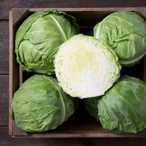 Cabbage, Tiara F1 (Certified Organic Seeds)