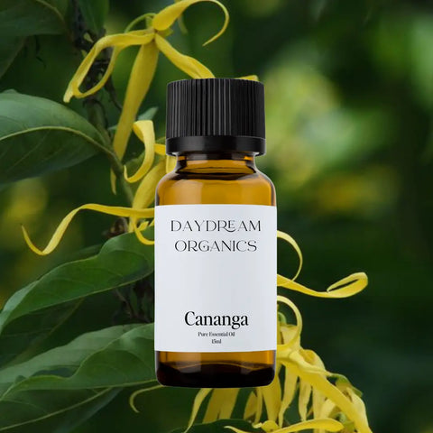 Daydream Organics Cananga (Ylang Ylang) Essential Oil 15 ml
