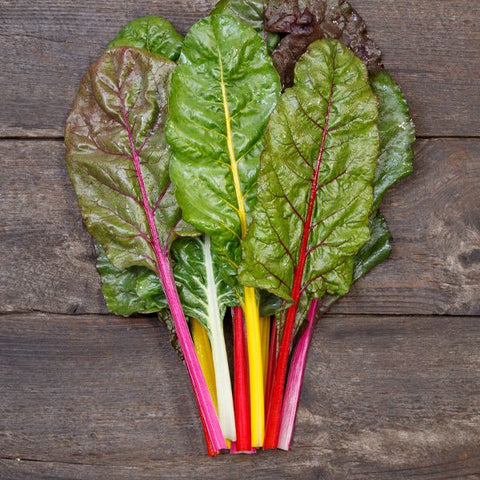 Chard, Peacock Formulated Blend (Certified Organic Seeds)
