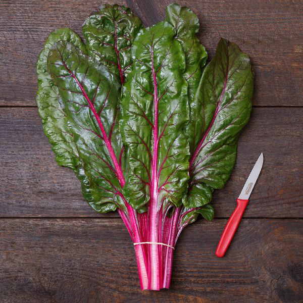 Chard, True Magenta (Certified Organic Seeds)