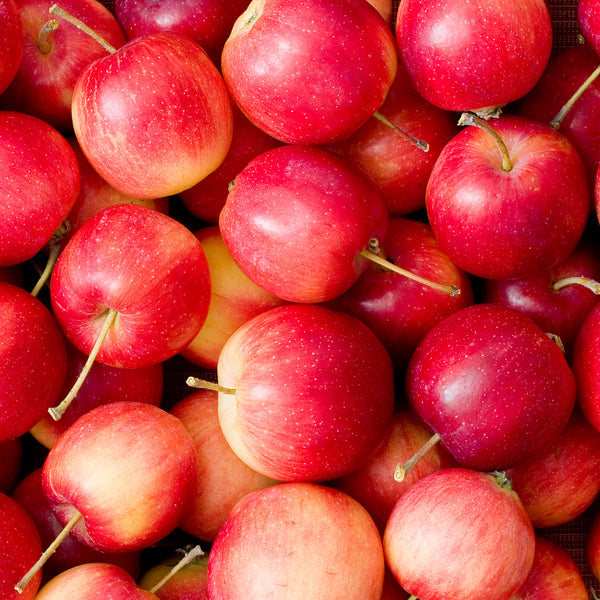 Crabapple, Chestnut (Edible) (7-gallon)