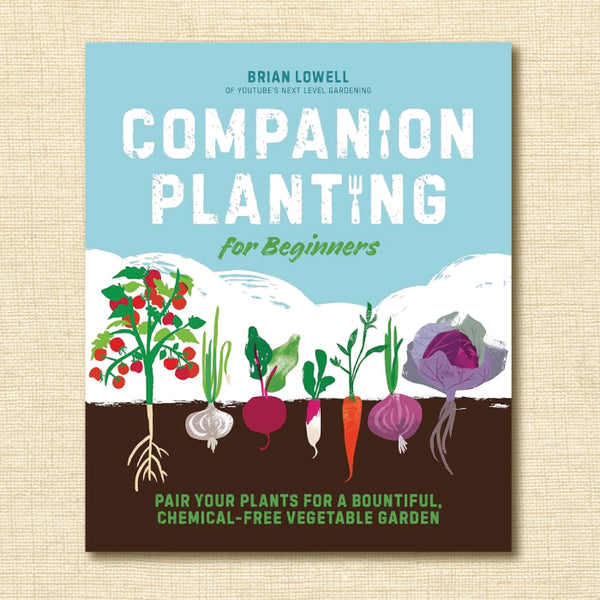 Companion Planting for Beginners