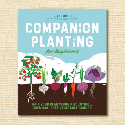 Companion Planting for Beginners