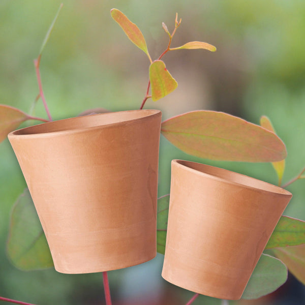 Terracotta Clay Pot - Cono