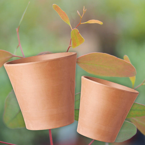 Terracotta Clay Pot - Cono