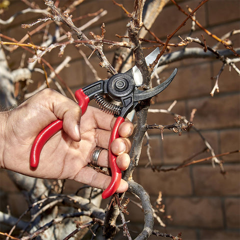 Corona® BP3640 ErgoACTION Bypass Pruner - ¾ Inch