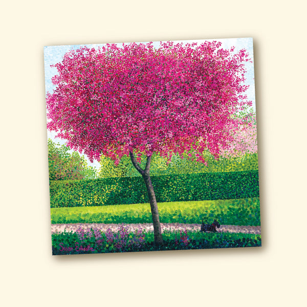 Susan Entwistle Greeting Card - Crab Apple Blossom