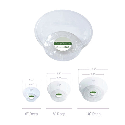 Saucer - Clear Deep - Choose from Assorted Sizes
