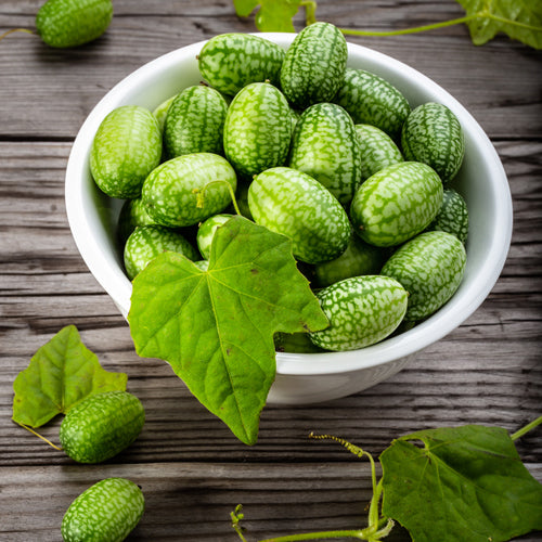 Cucumber, Mouse Melon (Mexican Sour Gherkin) (Certified Organic Seeds)