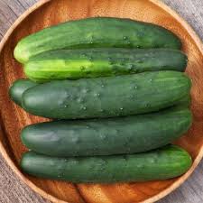 Cucumber, South Wind (Certified Organic Seeds)