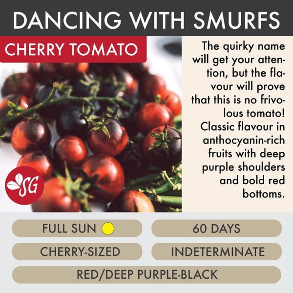 Dancing with Smurfs - Tomato Plant Pre-Order 2026