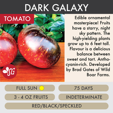 Dark Galaxy - Tomato Plant Pre-Order 2026