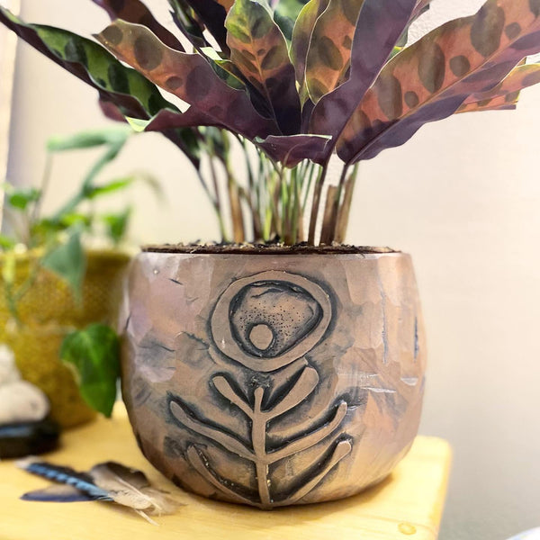 Handbuild a clay plant pot - Sunday, November 1, 2026 - 1 pm