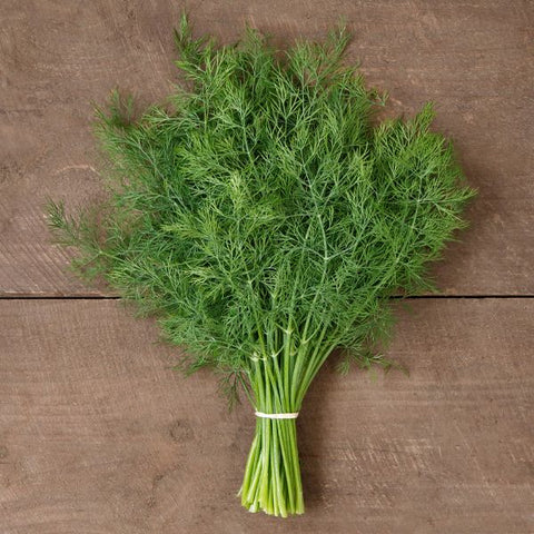 Dill, Thalia (Certified Organic Seeds)