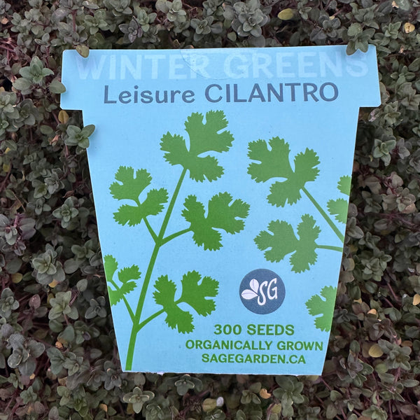 Winter Greens Seeds - Cilantro, Leisure