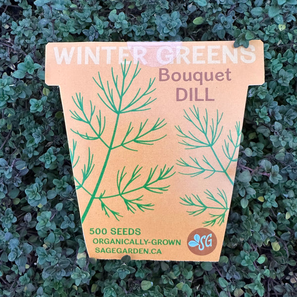 Winter Greens Seeds - Dill, Bouquet