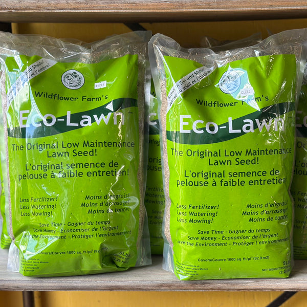 Eco-Lawn Grass Seed