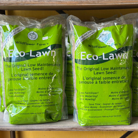 Eco-Lawn Grass Seed