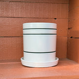 Ceramic Pot - Earthy Modern Striped 15 cm