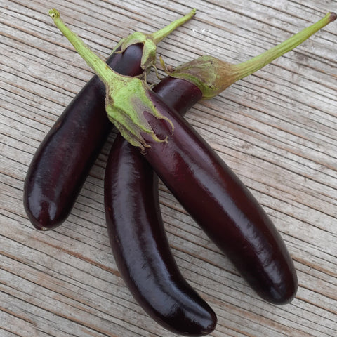 Eggplant, Little Finger (Certified Organic Seeds)