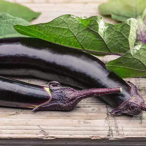 Eggplant, Kurume Long (Organically Grown Seeds)