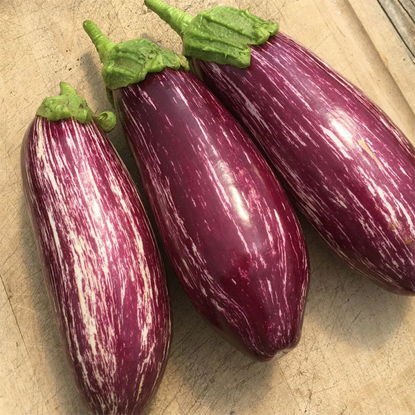 Eggplant, Listada di Gandia (Certified Organic Seeds)