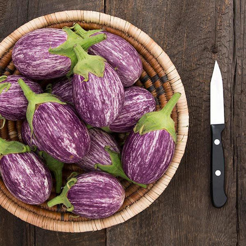 Eggplant, Piccolo F1 (Certified Organic Seeds)