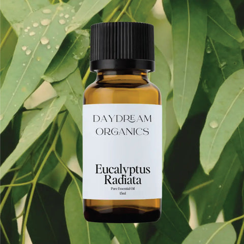 Daydream Organics Eucalyptus Radiata Essential Oil 15 ml